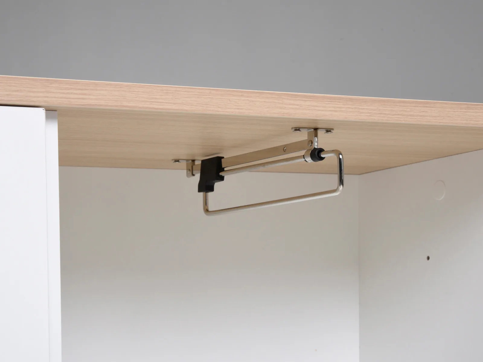 RIN24 Henkarimekanismi - Image 3