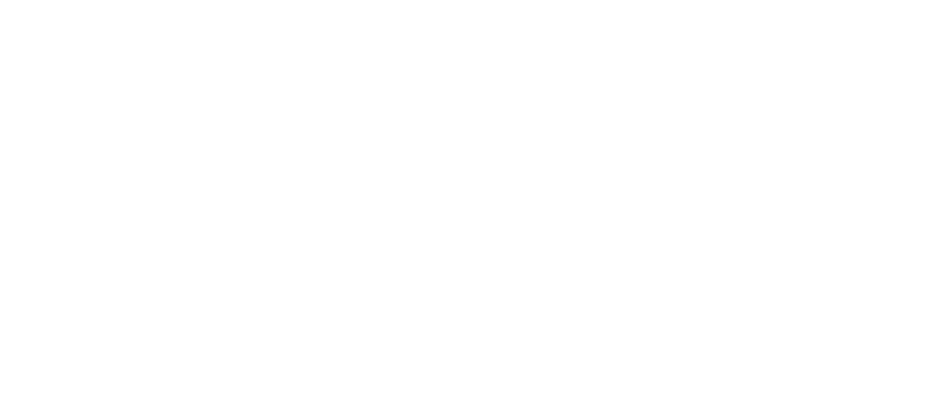 Suomalainen työ jäsen